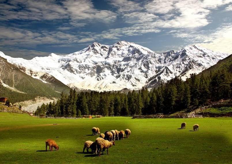 fairy meadows tour