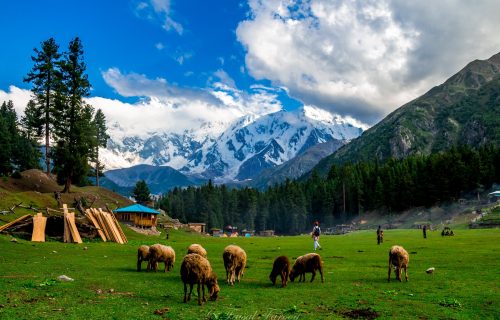 The Best of Pakistan Tour